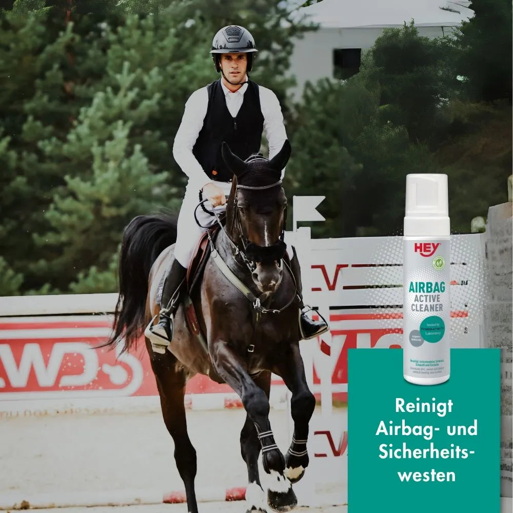 HEY Airbag Active Cleaner