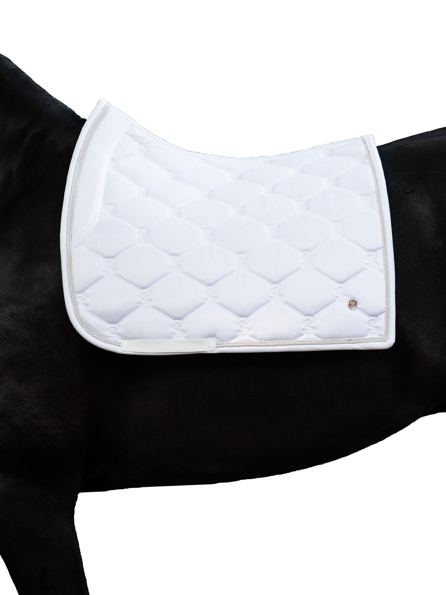 PS of Sweden selle de dressage Signature Blanc