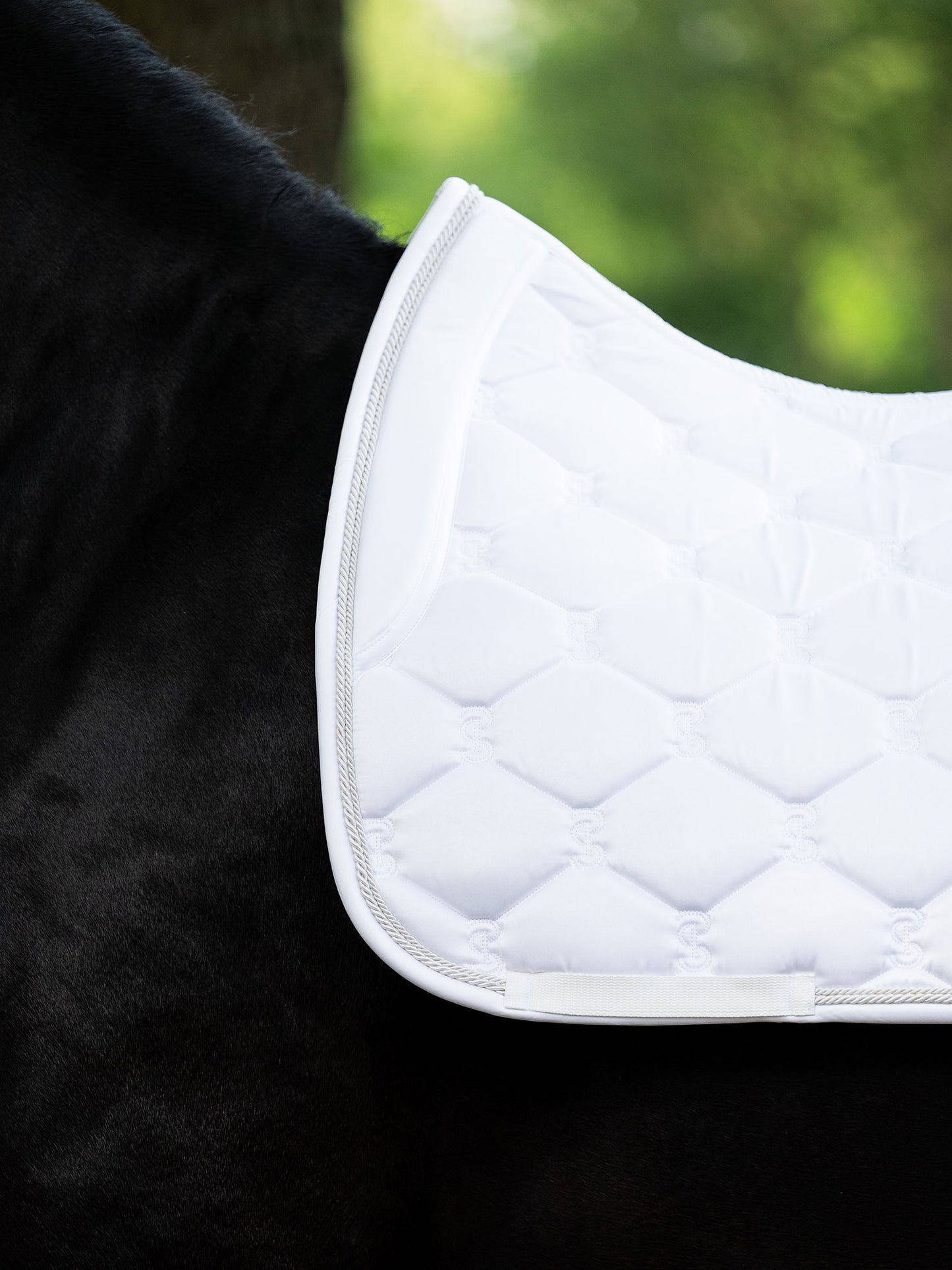PS of Sweden selle de dressage Signature Blanc