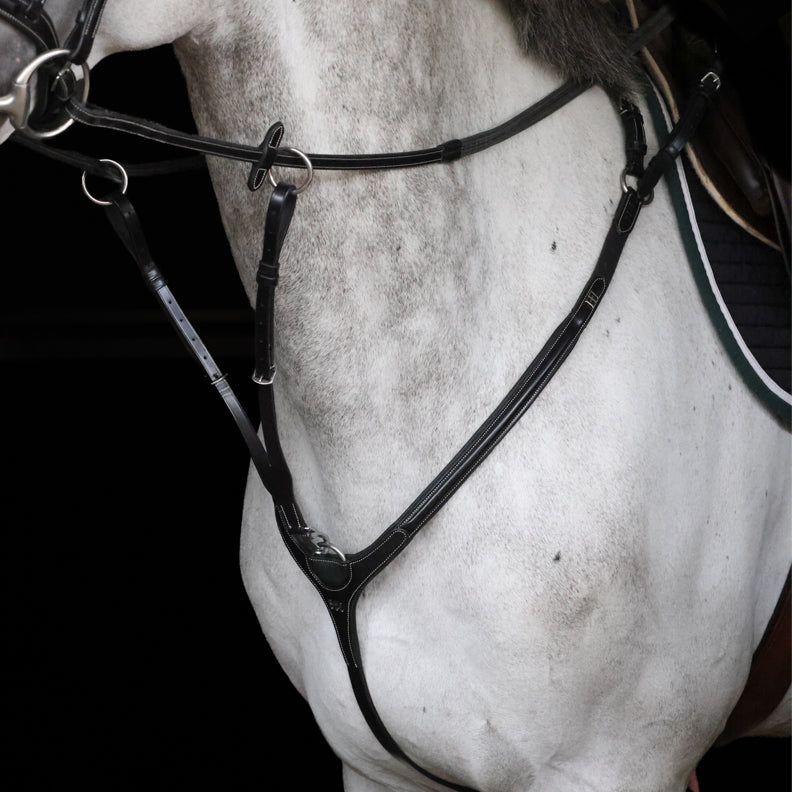 Collier de Chasse HFI Pro Line Aosta avec Martingale
