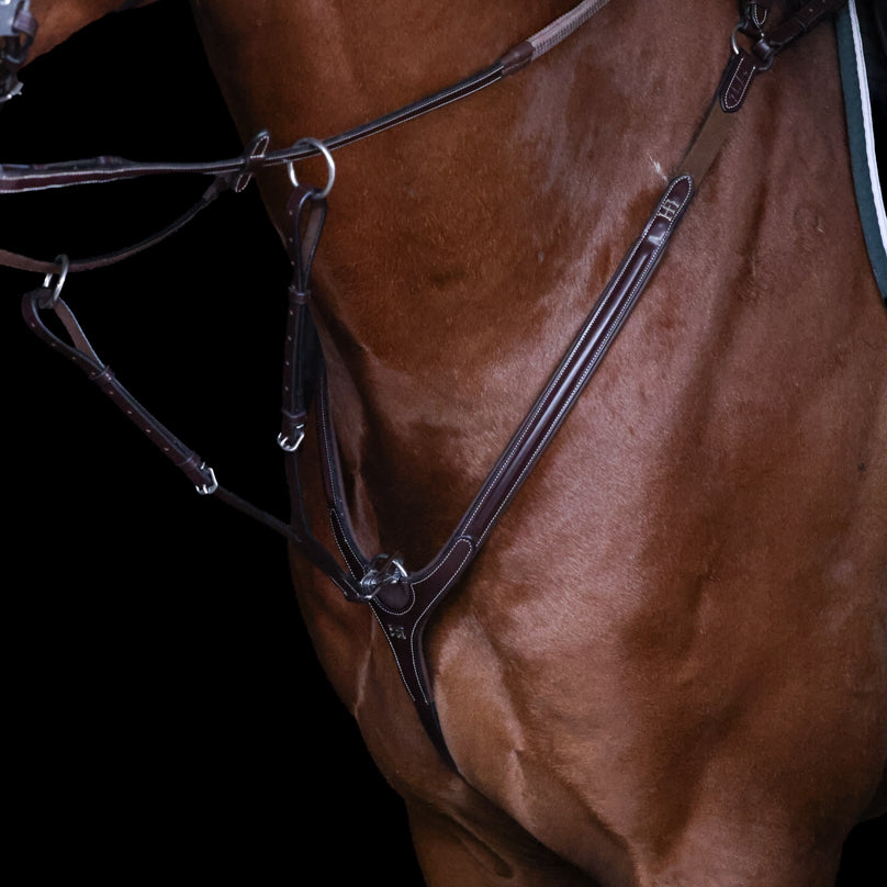 Collier de Chasse HFI Pro Line Aosta avec Martingale