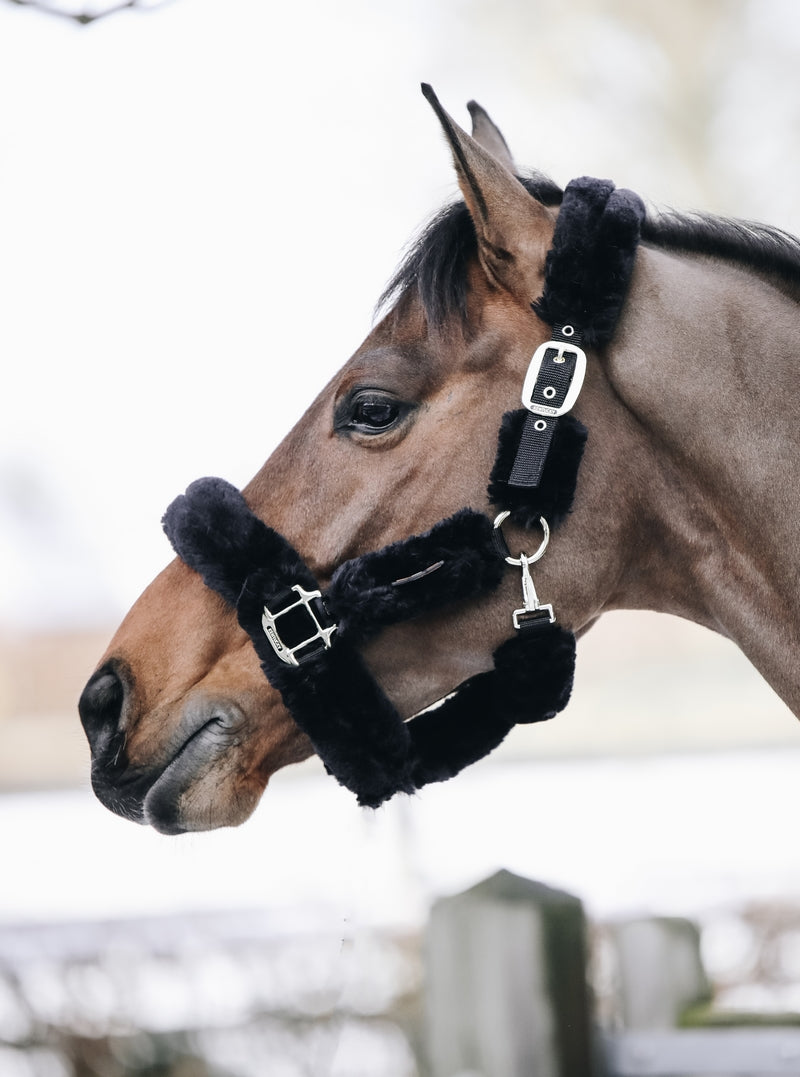 Kentucky Horsewear transporthalster wol Zwart