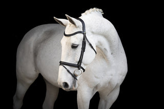 LJ Leathers bride à muserolle combinée Classic Touch Noir