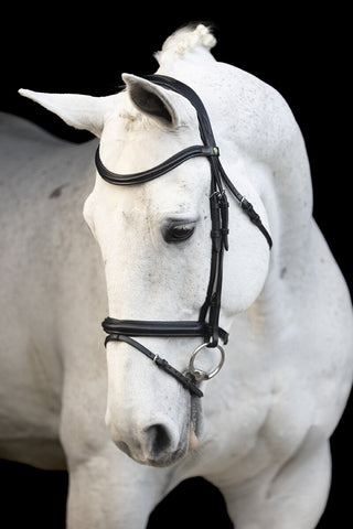 LJ Leathers bride à muserolle combinée Classic Touch Noir