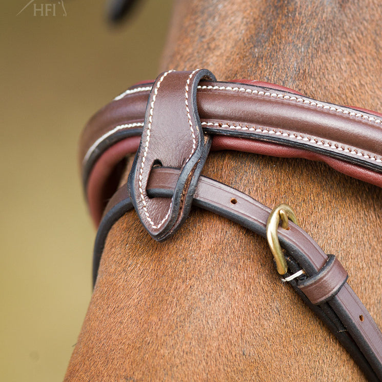 Bridon HFI Anatomic