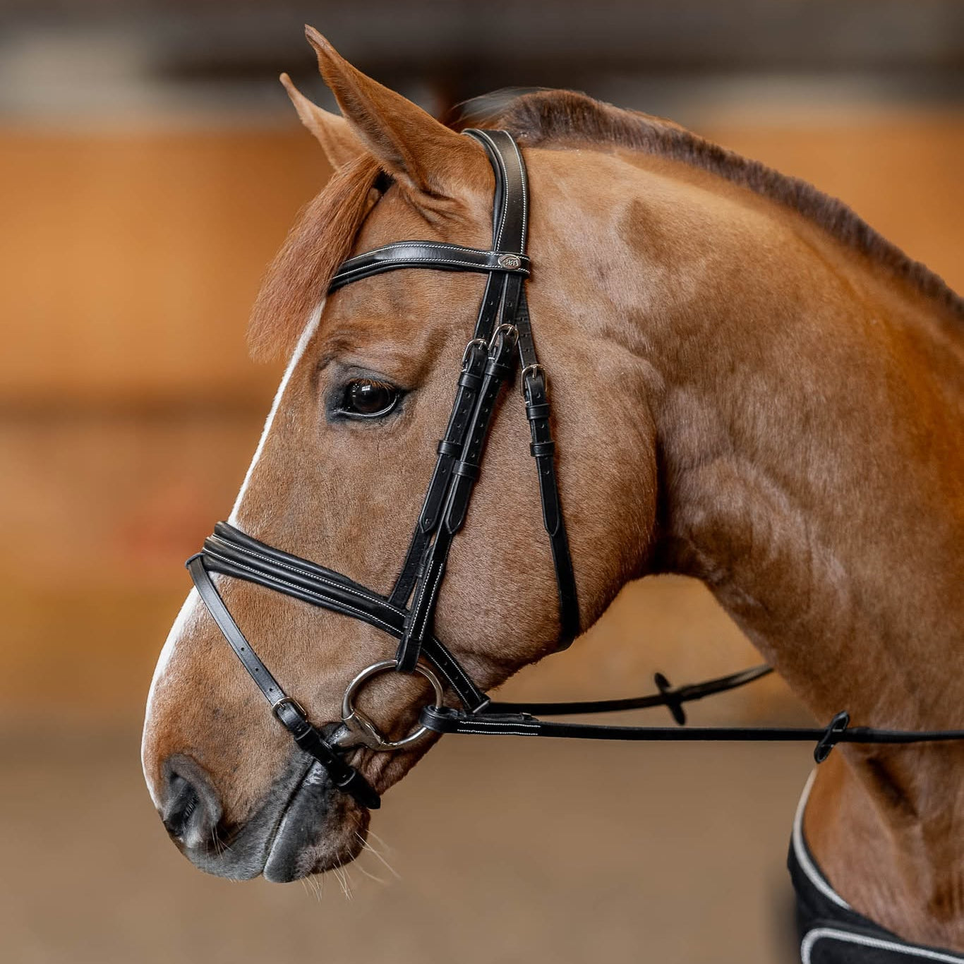 HFI Hoofdstel Padded Zwart
