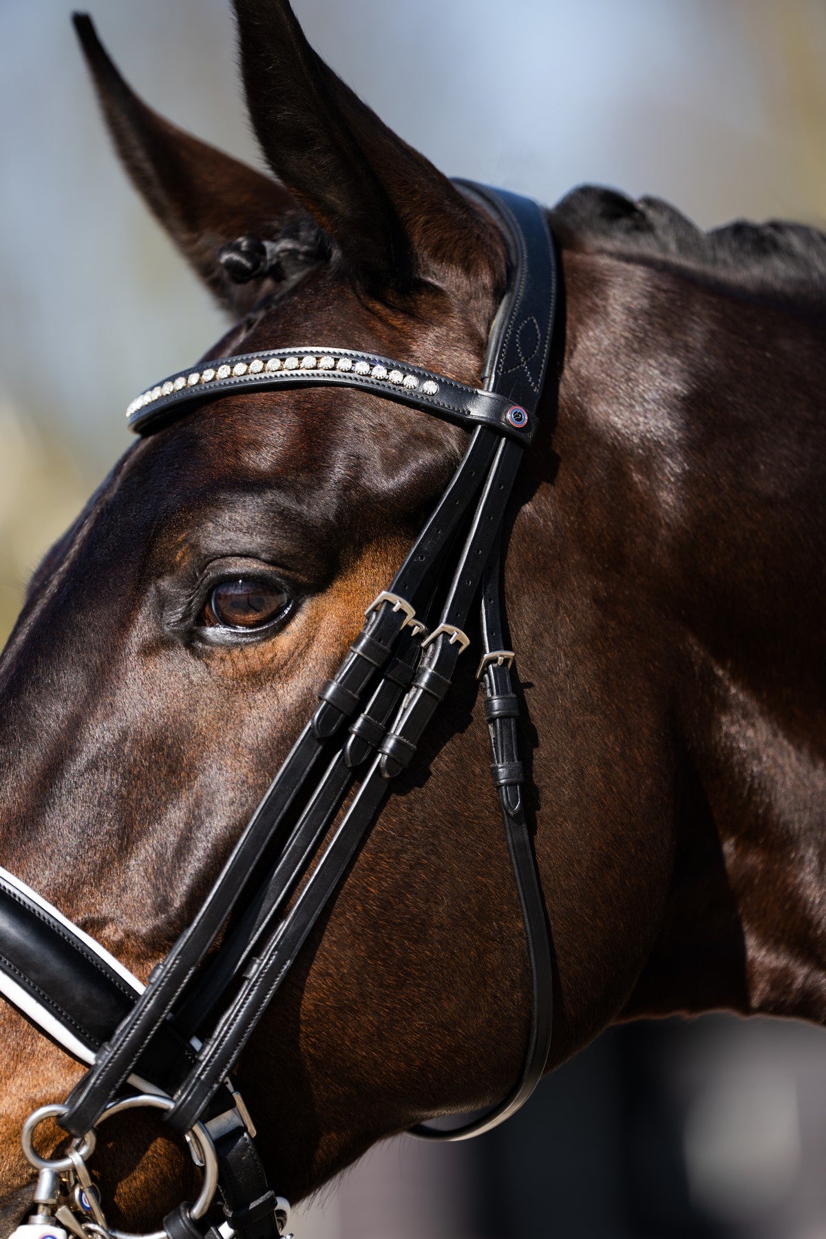 TRUST hoofdstel Wellington Stang & Trens wit onderlegd Zwart