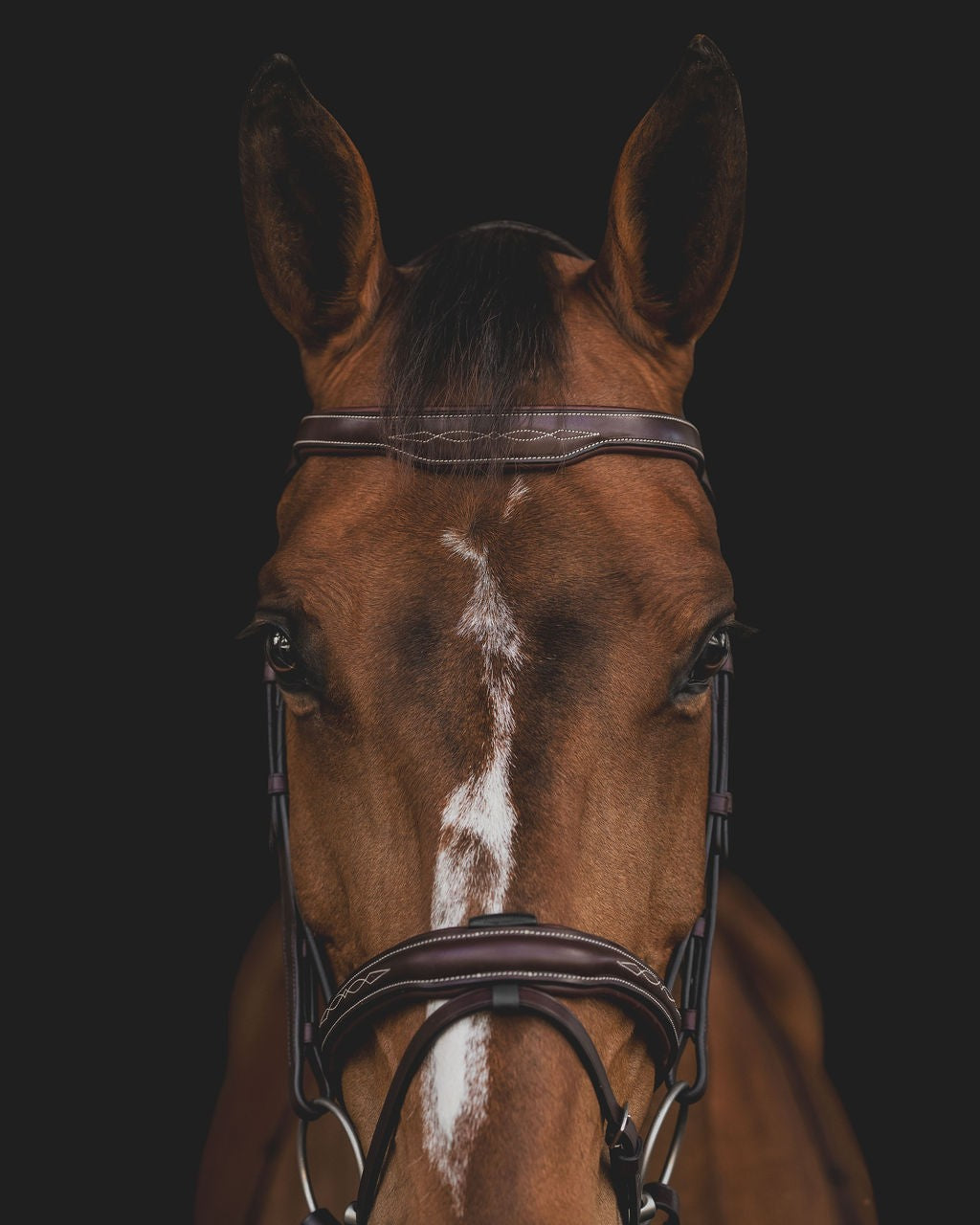 Equiline Hoofdstel Anatomisch smal gecombineerde neusriem