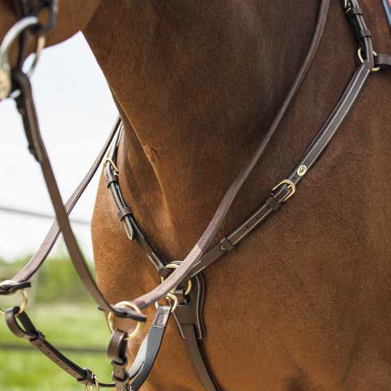 Collier de Chasse HFI Long Bridge avec Martingale