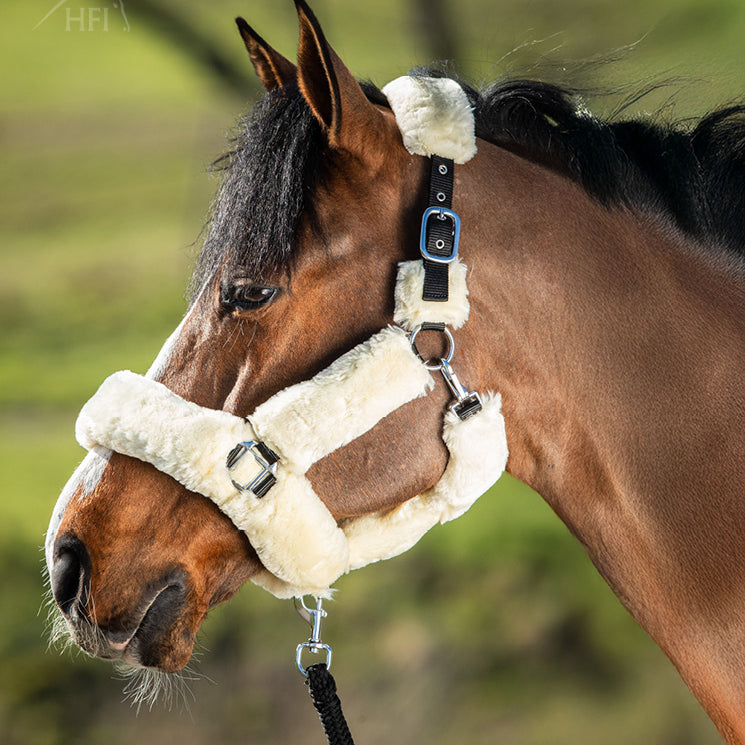 HFI Halster Cosy Beige full