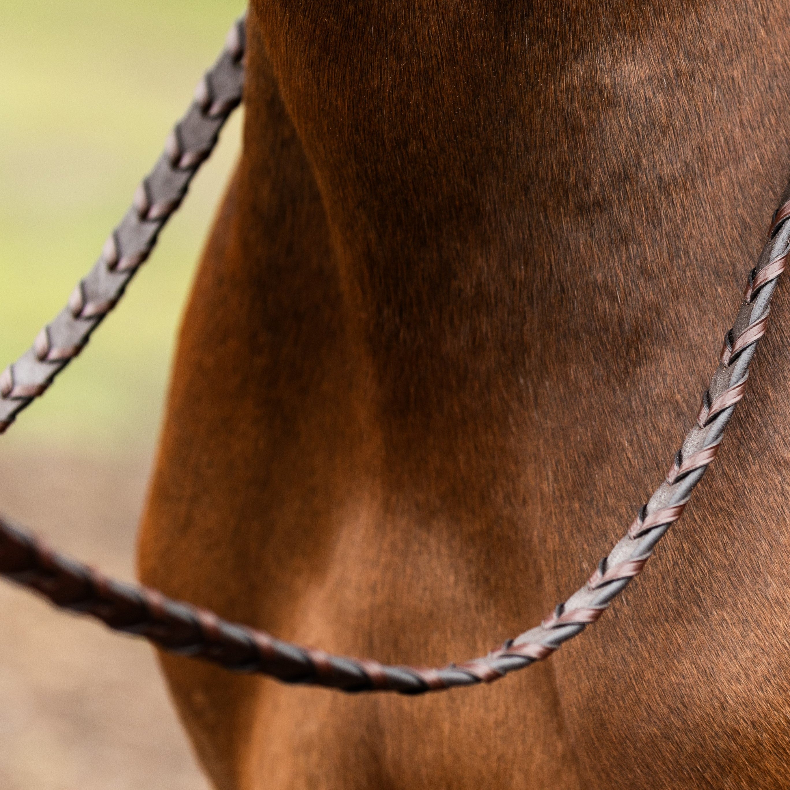 TRUST Hunter reins Braided zilveren gespen Bruin Bruin Full