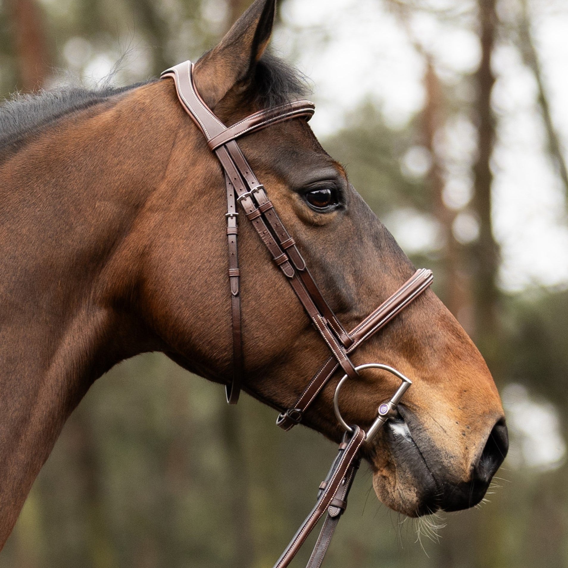 TRUST hoofdstel Hunter Kentucky zilveren gesp Bruin Bruin