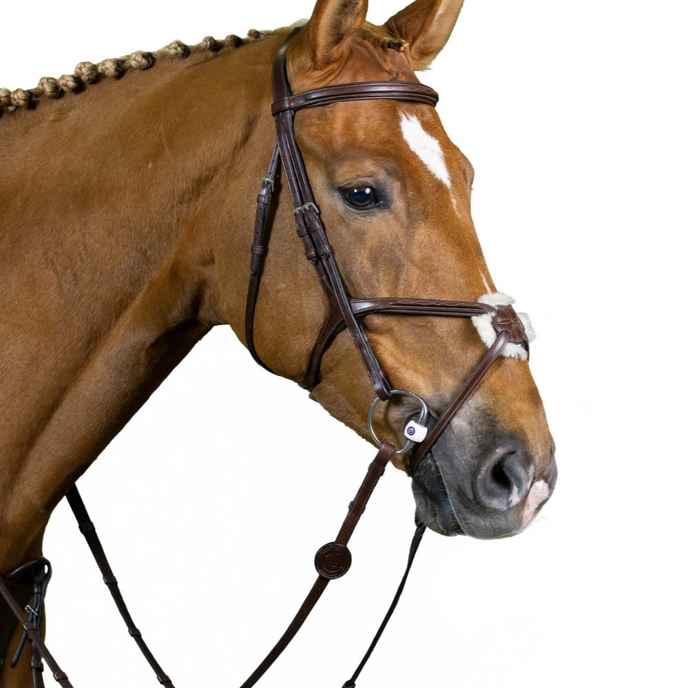 TRUST hoofdstel Oslo mexicaanse neusriem zilveren gespen Bruin Bruin Cob