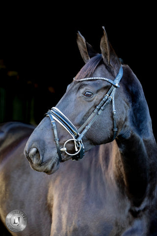 LJ Leathers Bridon Pro Selected La muserolle vernie Sunline Noir