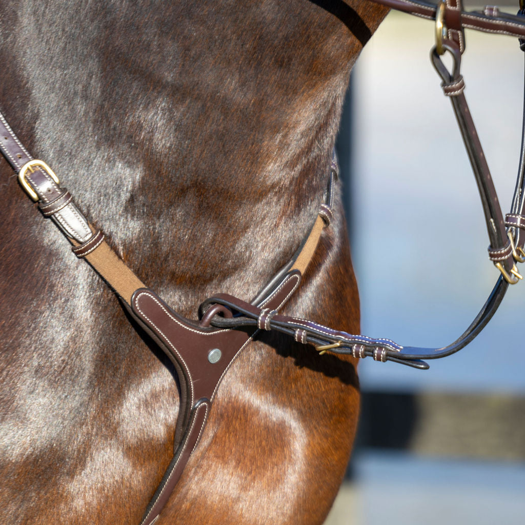 LJ Leathers Pro Selected Heritage 3-punts jachtmartingaal Bruin