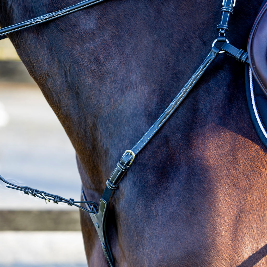 LJ Leathers Pro Selected Heritage 3-punts jachtmartingaal Zwart zwart-zilver