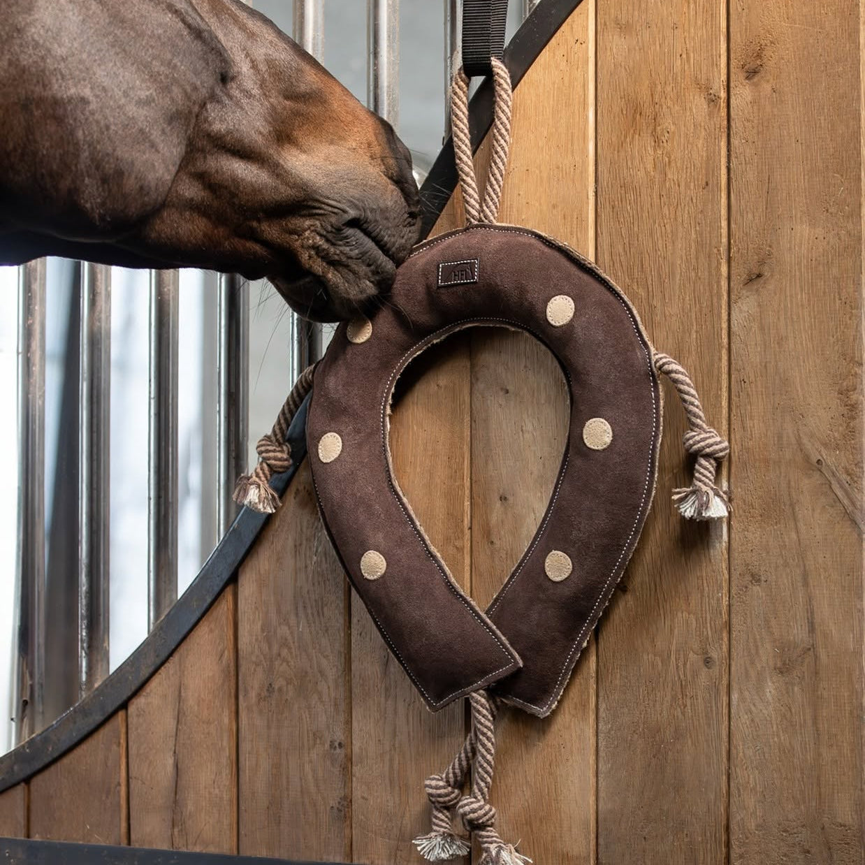 Jouet pour Cheval HFI Horseshoe