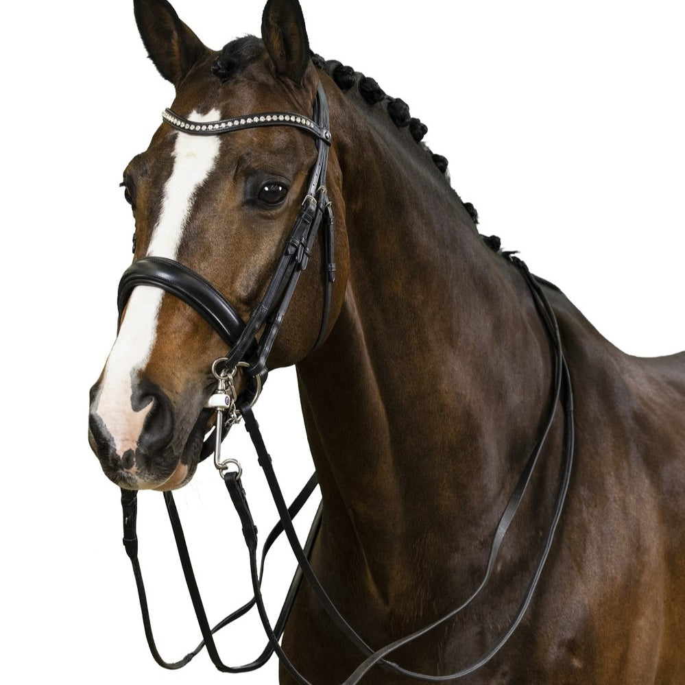 TRUST hoofdstel Wellington Stang & Trens zwart onderlegd Zwart Zwart Full