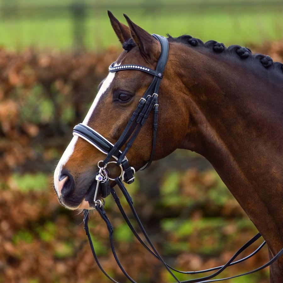 TRUST hoofdstel Aachen Stang & Trens Lakneusriem wit onderlegd Zwart Zwart Cob