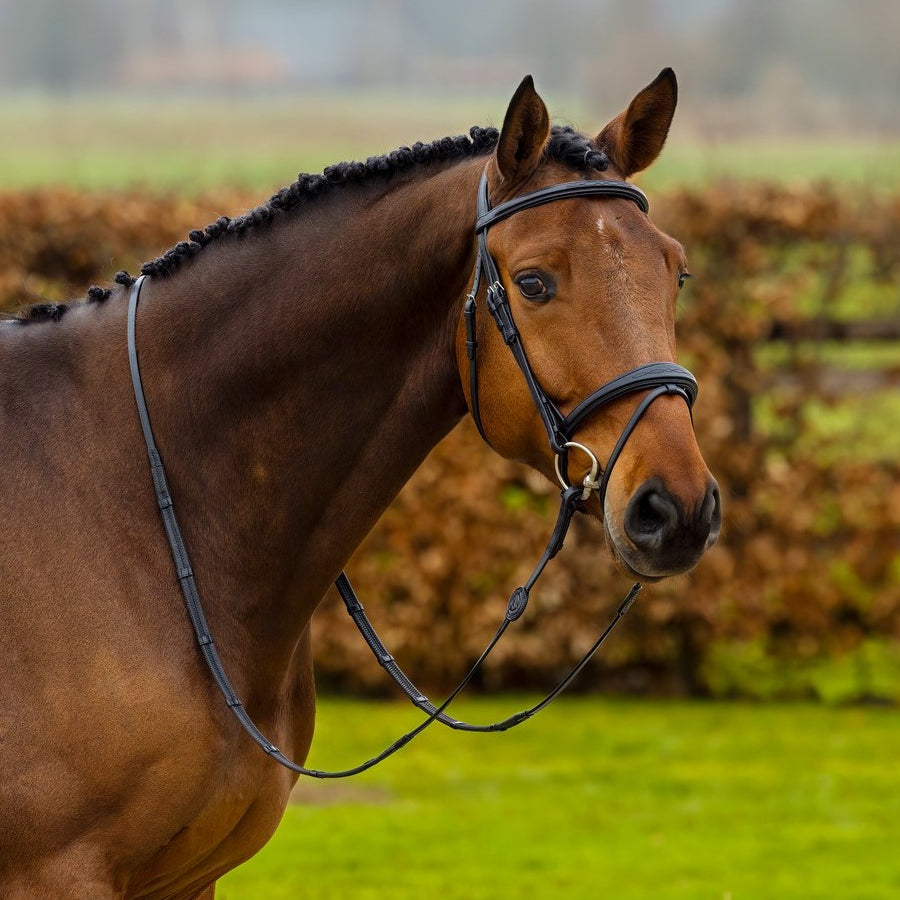 TRUST hoofdstel Amsterdam anatomisch gecombineerde neusriem zilveren gesp Zwart Zwart Full