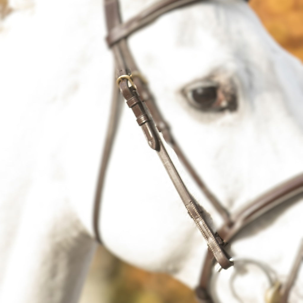 LJ Leathers New Pro Bakstukken Zilver kleurig