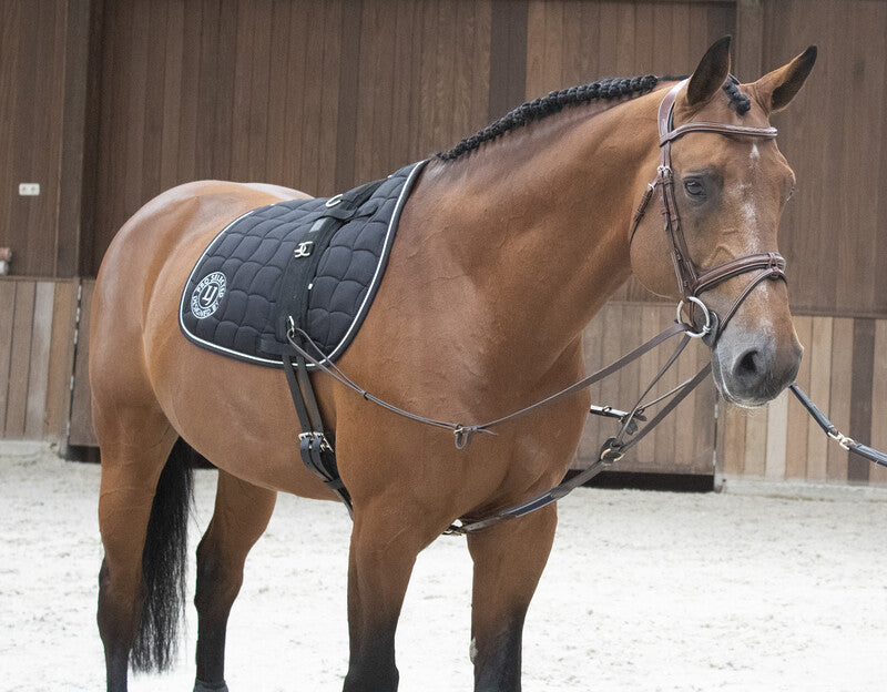 LJ Leathers Magic Longe by Symons Longeerhulpteugel