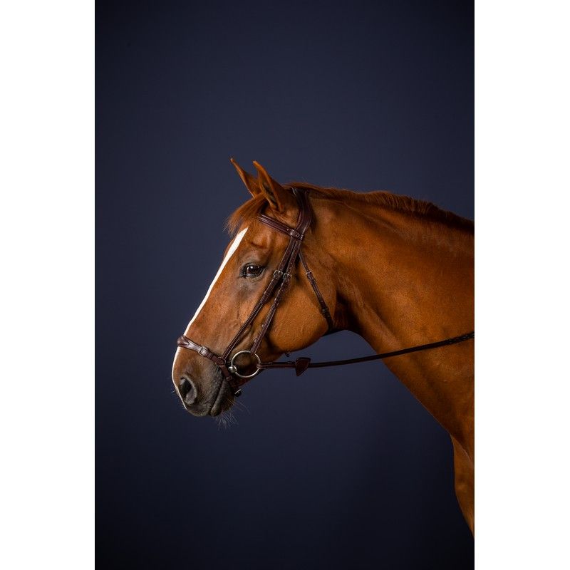 Dyon New English Collection Hoofdstel lage neusriem bruin