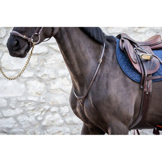 Dyon D Collection martingale Yoke marron