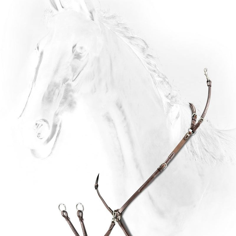 Equiline Borsttuig met brug bruin Bruin