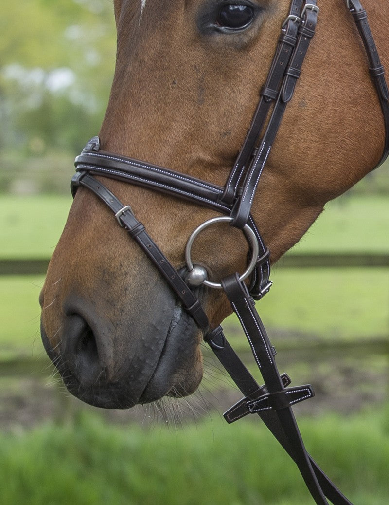 Equality gecombineerde neusriem bruin Bruin Full