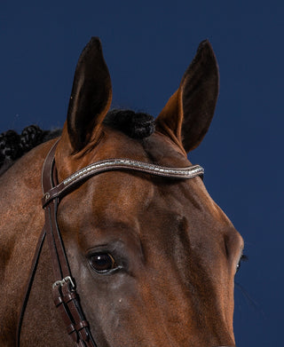 Dyon US Collection Silver Clincher V-Shaped Frontriem marron