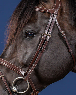 Dyon US Jumping bridon avec muserolle combinée marron