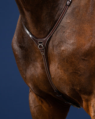 Collection Dyon US martingale Yoke marron