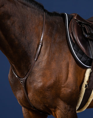 Collection Dyon US martingale Yoke marron