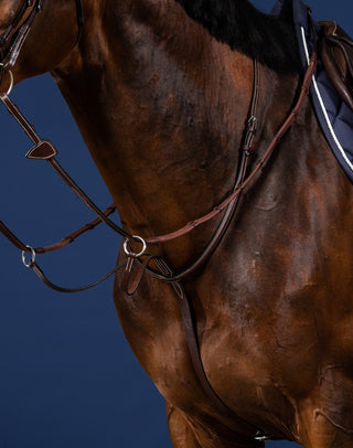 Dyon US Collection martingale marron