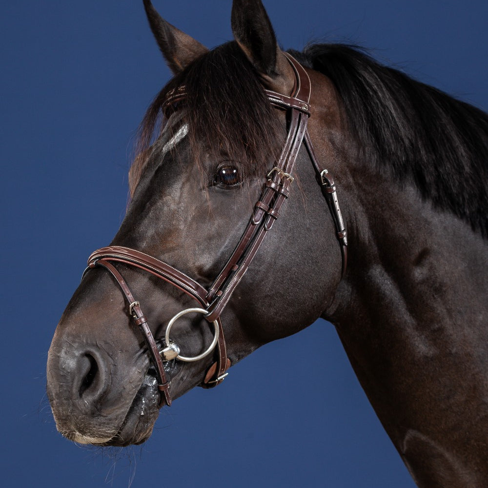 Dyon US Jumping hoofdstel gecombineerde neusriem bruin Bruin Full