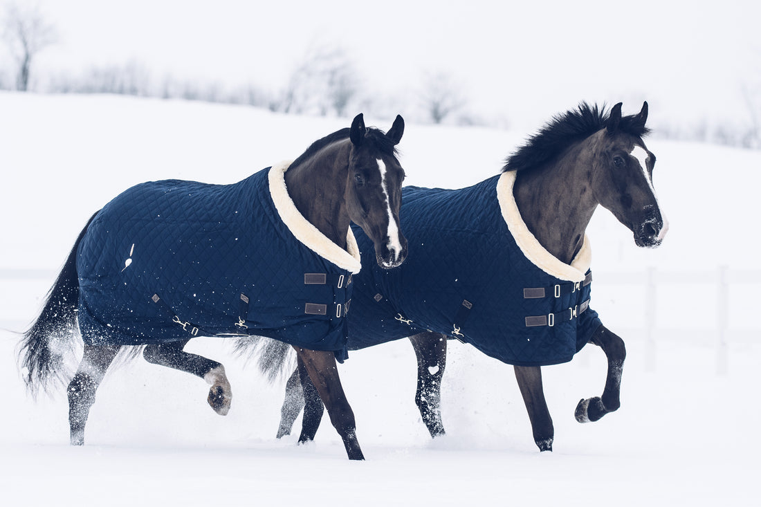 Zo kies je de beste paardendeken!