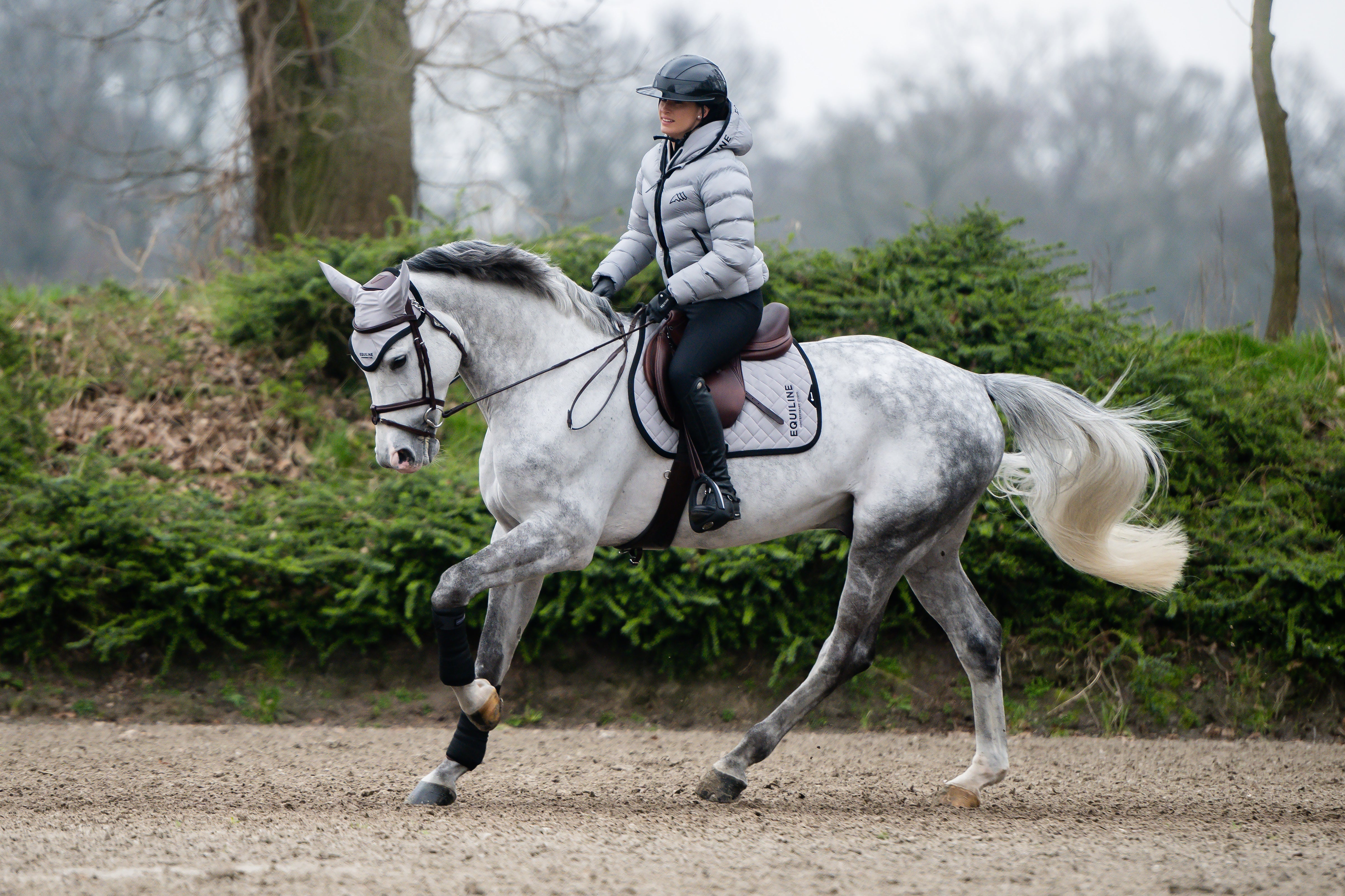 Equiline Fall/Winter 24