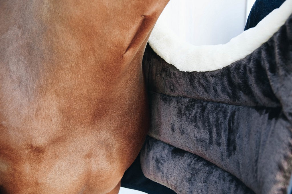 Paardendeken accessoires