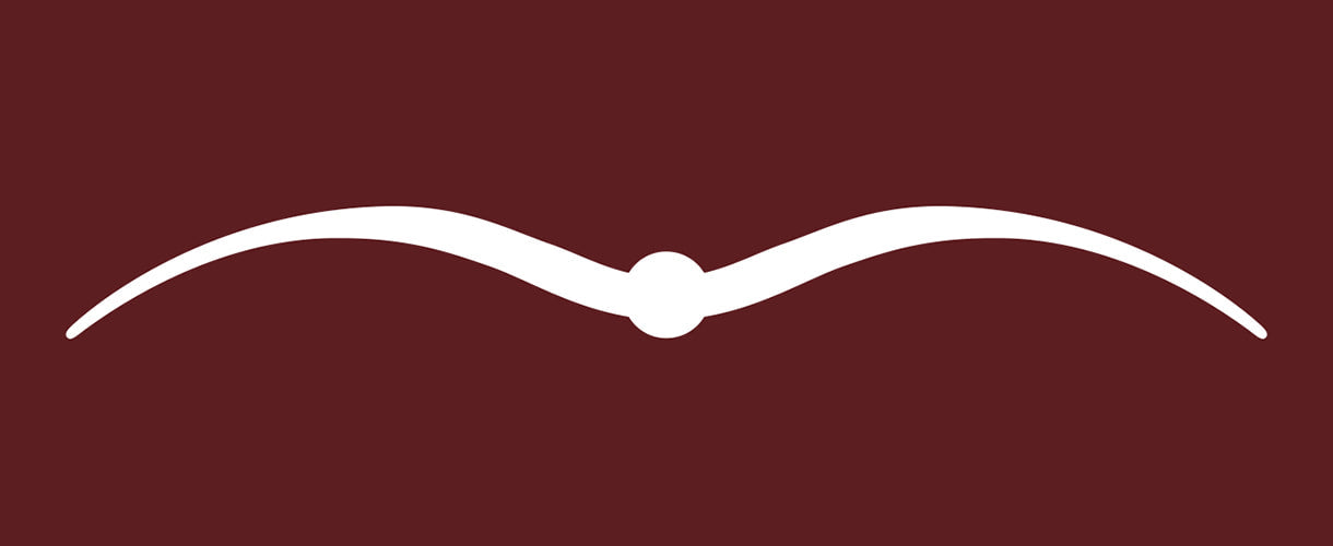 Logo Animo Italia