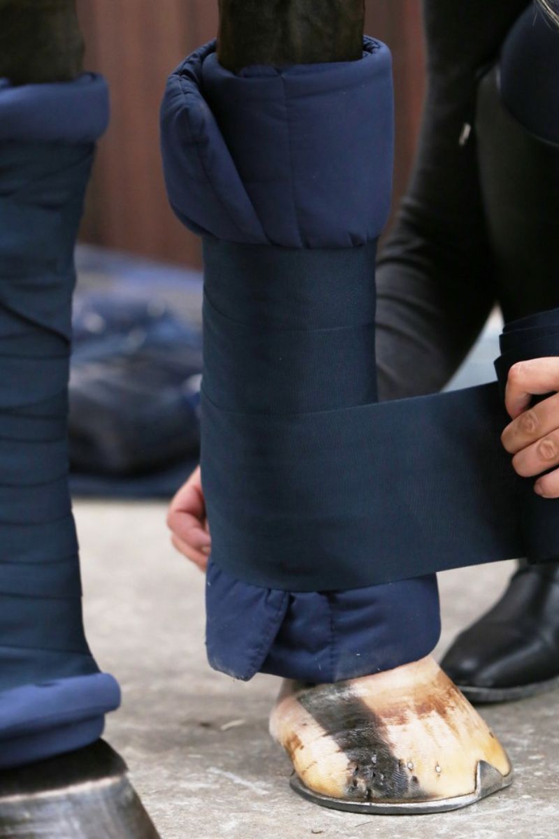 Bandages & Onderlappen