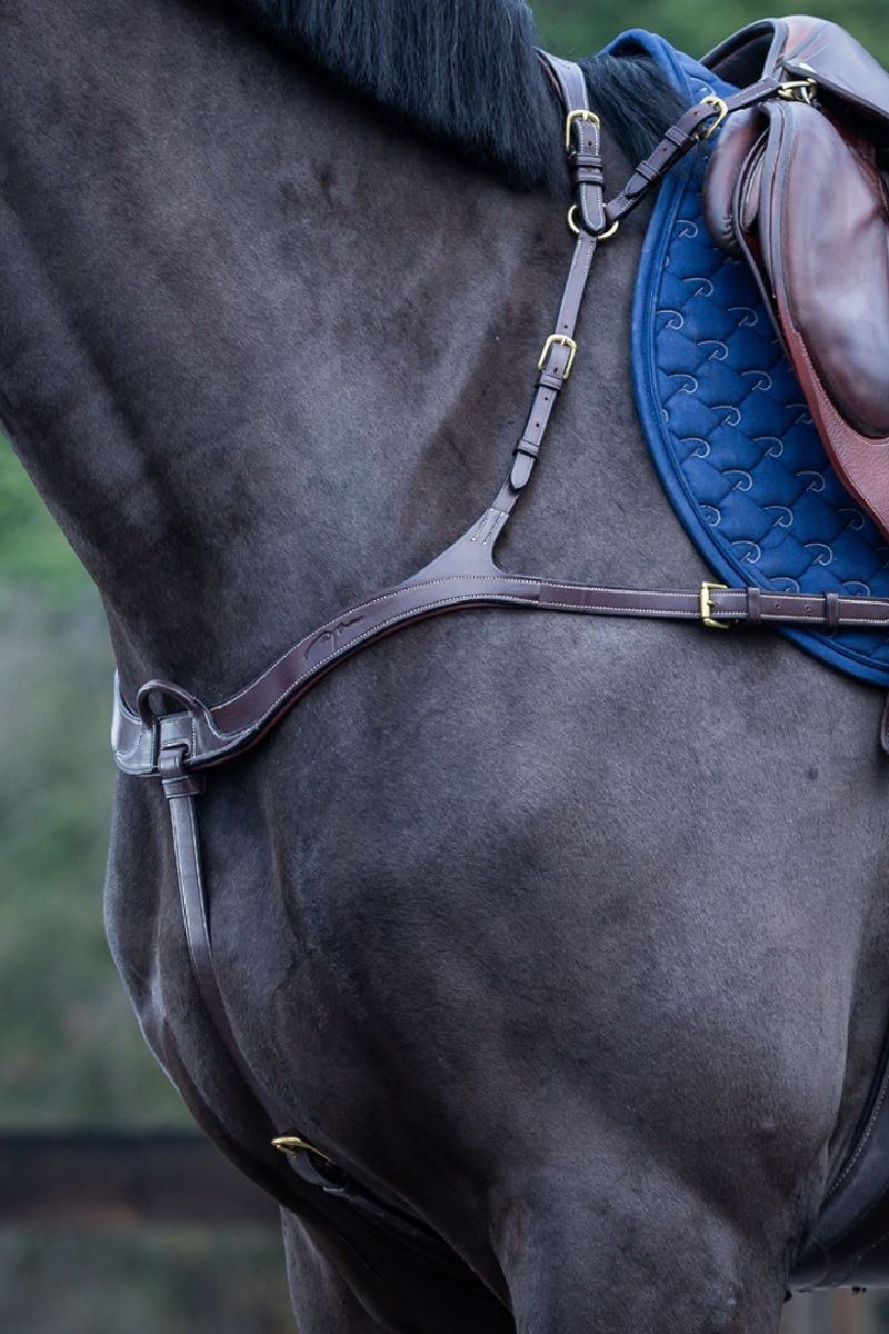 Borsttuigen & Martingaals