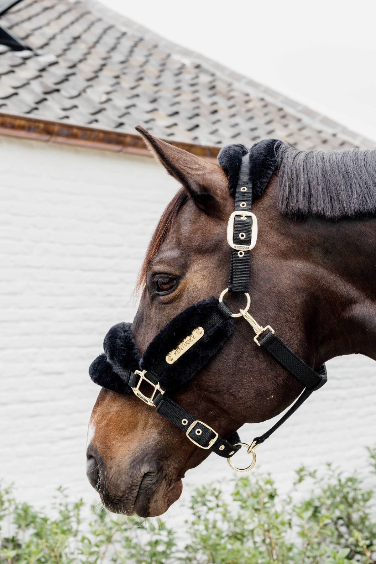 Kentucky Horsewear Nylon Sheepskin Halster Soft Zwart