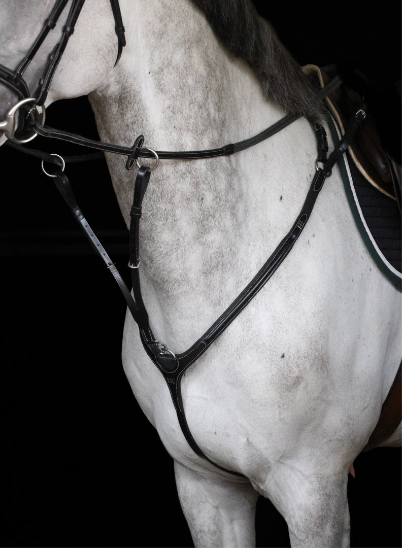 Collier de Chasse HFI Pro Line Aosta avec Martingale