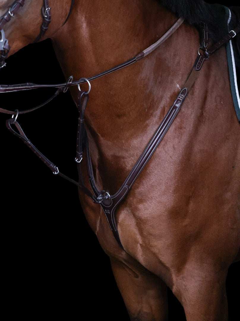 Collier de Chasse HFI Pro Line Aosta avec Martingale