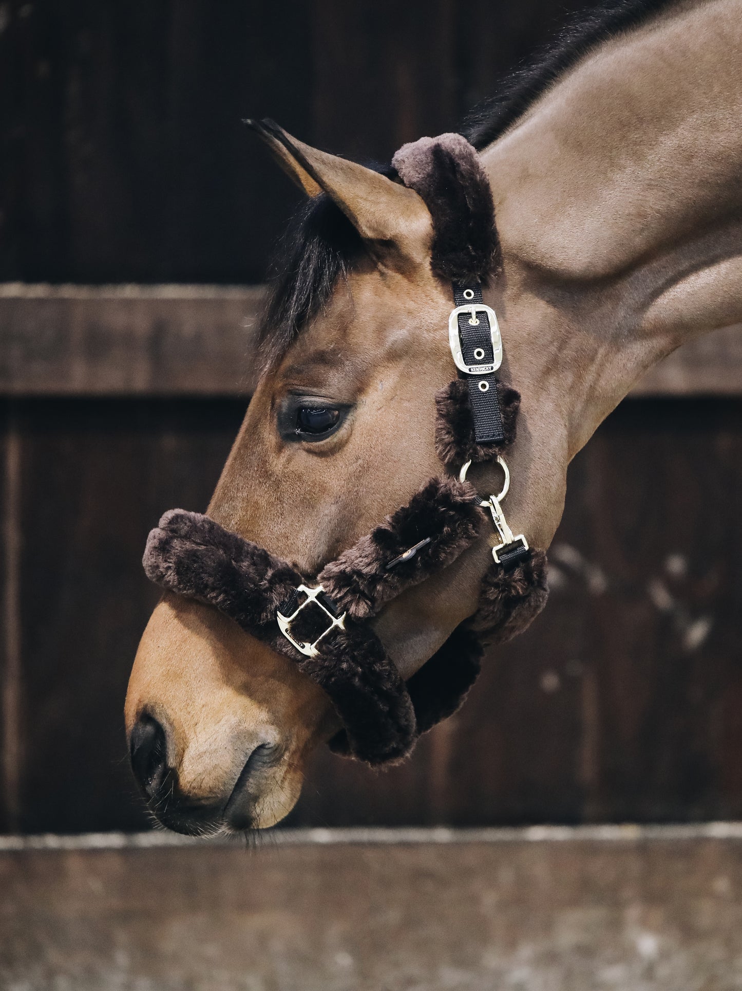 Kentucky Horsewear transporthalster wol Bruin