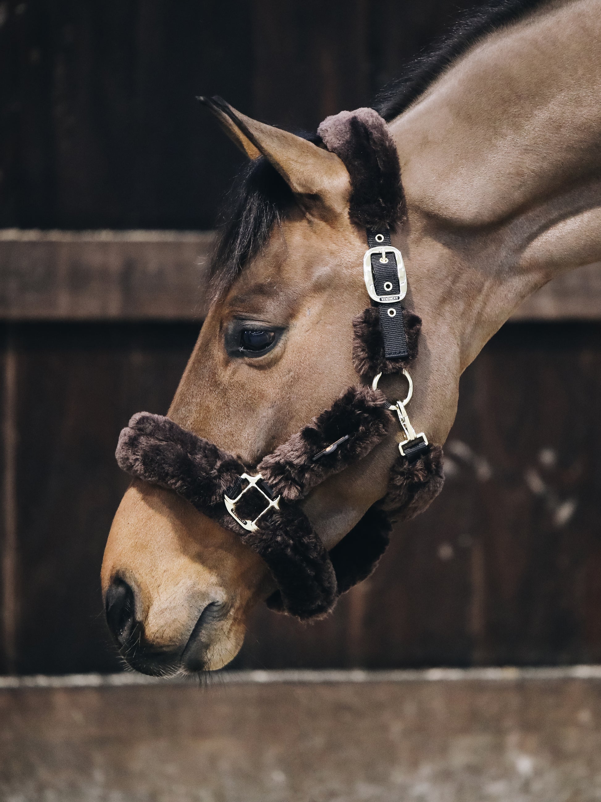 Kentucky Horsewear transporthalster wol Bruin