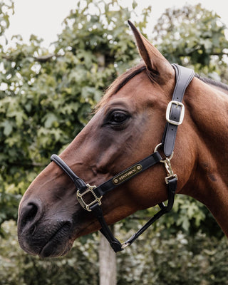 Kentucky Horsewear Anatomisch Leder halster Zwart full