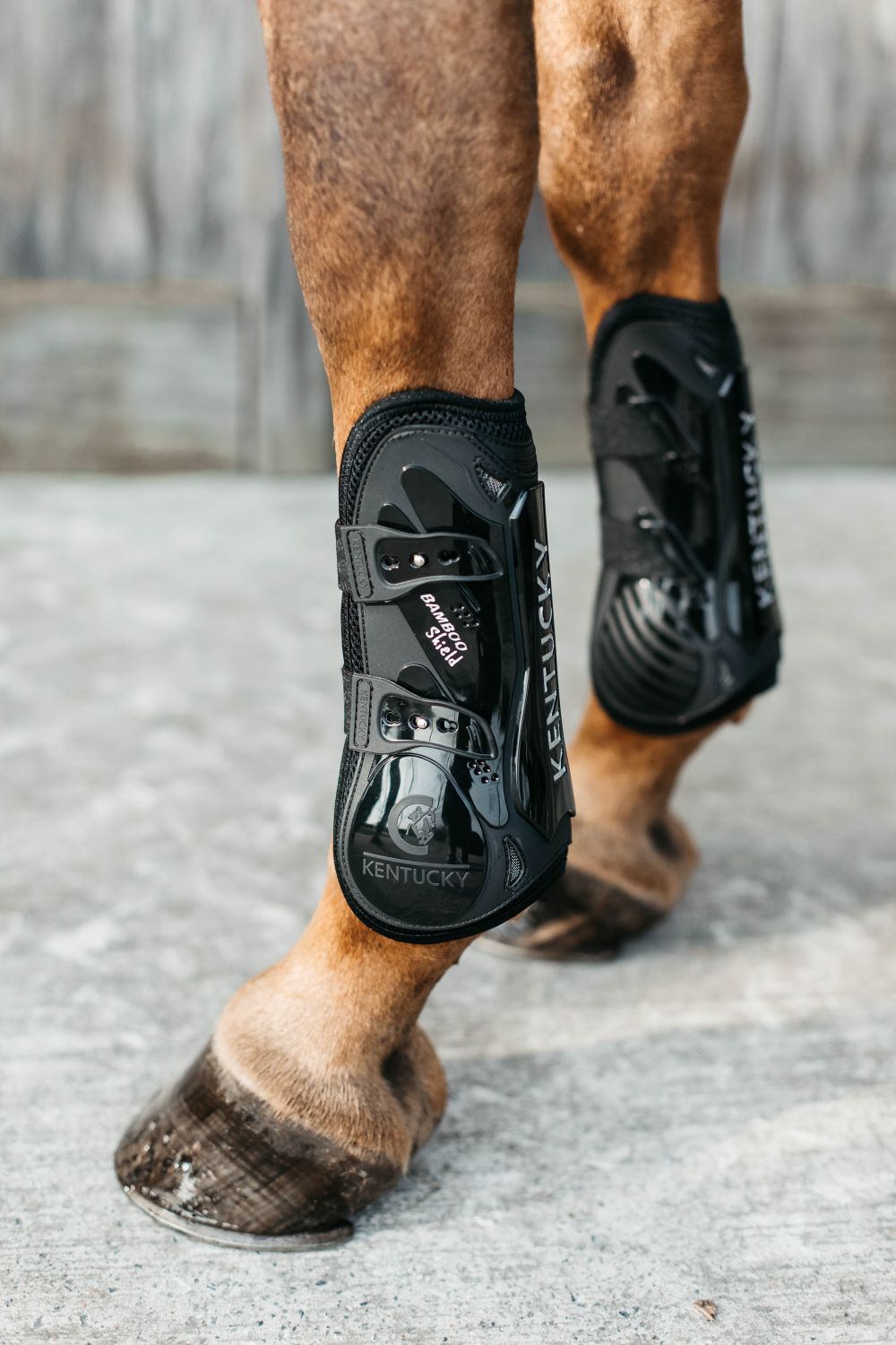 Kentucky Horsewear Protège-boulets Élastique en Bambou Noir