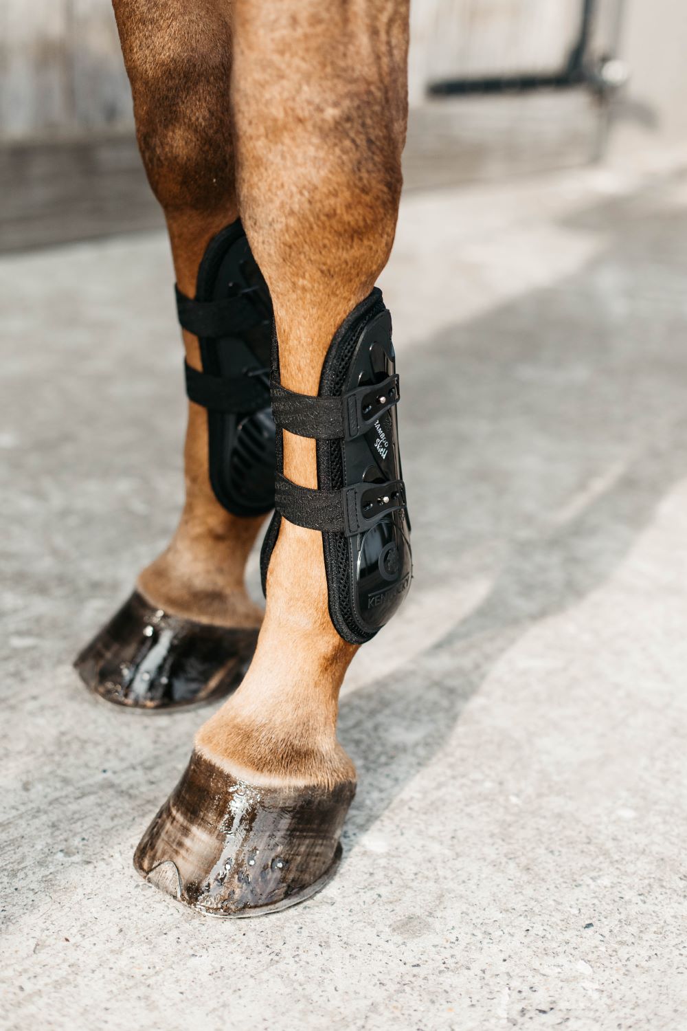 Kentucky Horsewear Protège-boulets Élastique en Bambou Noir